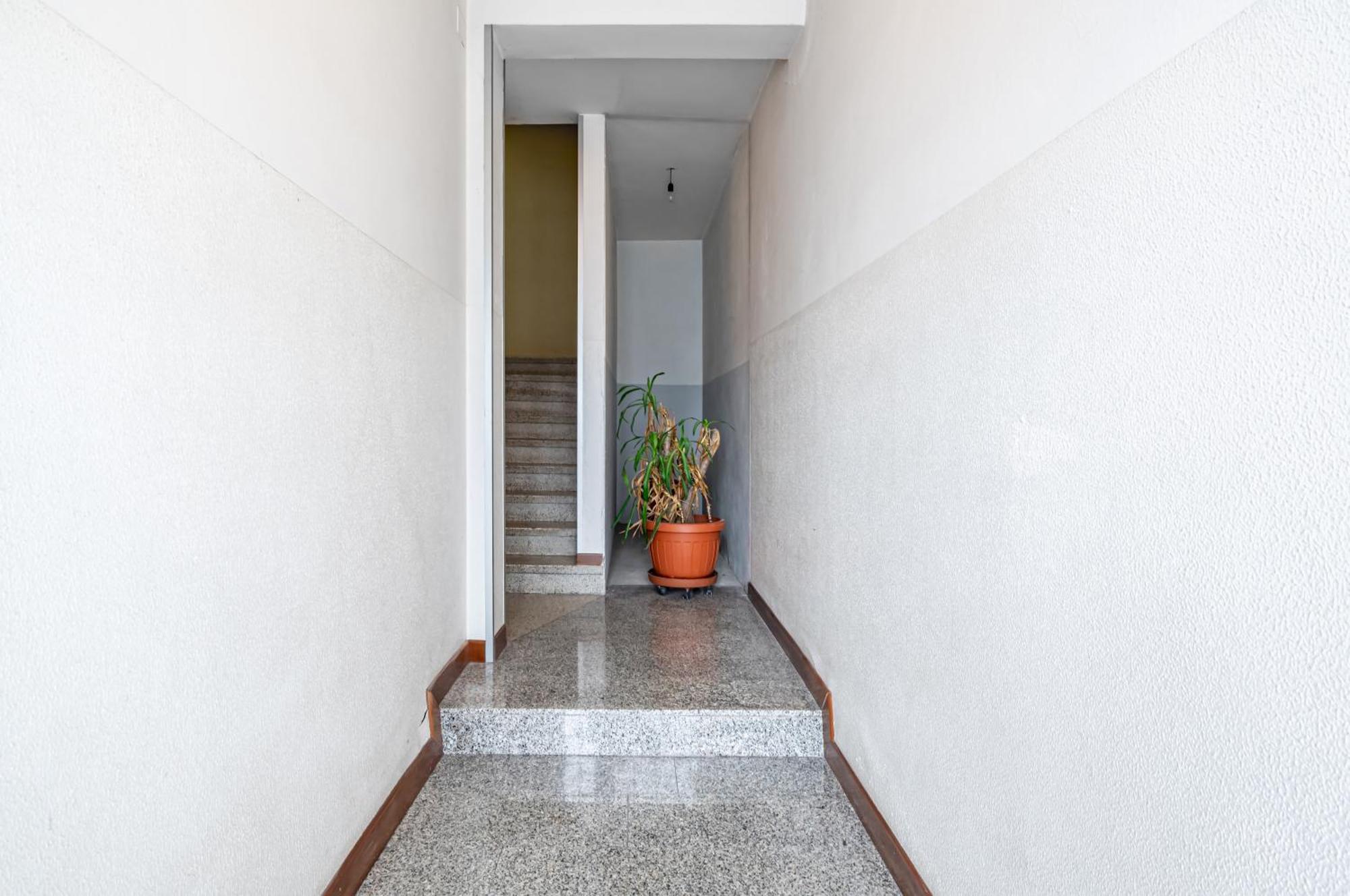 San Vincenzo Apartments 1 - 2 - 4 Vigonza Exteriör bild